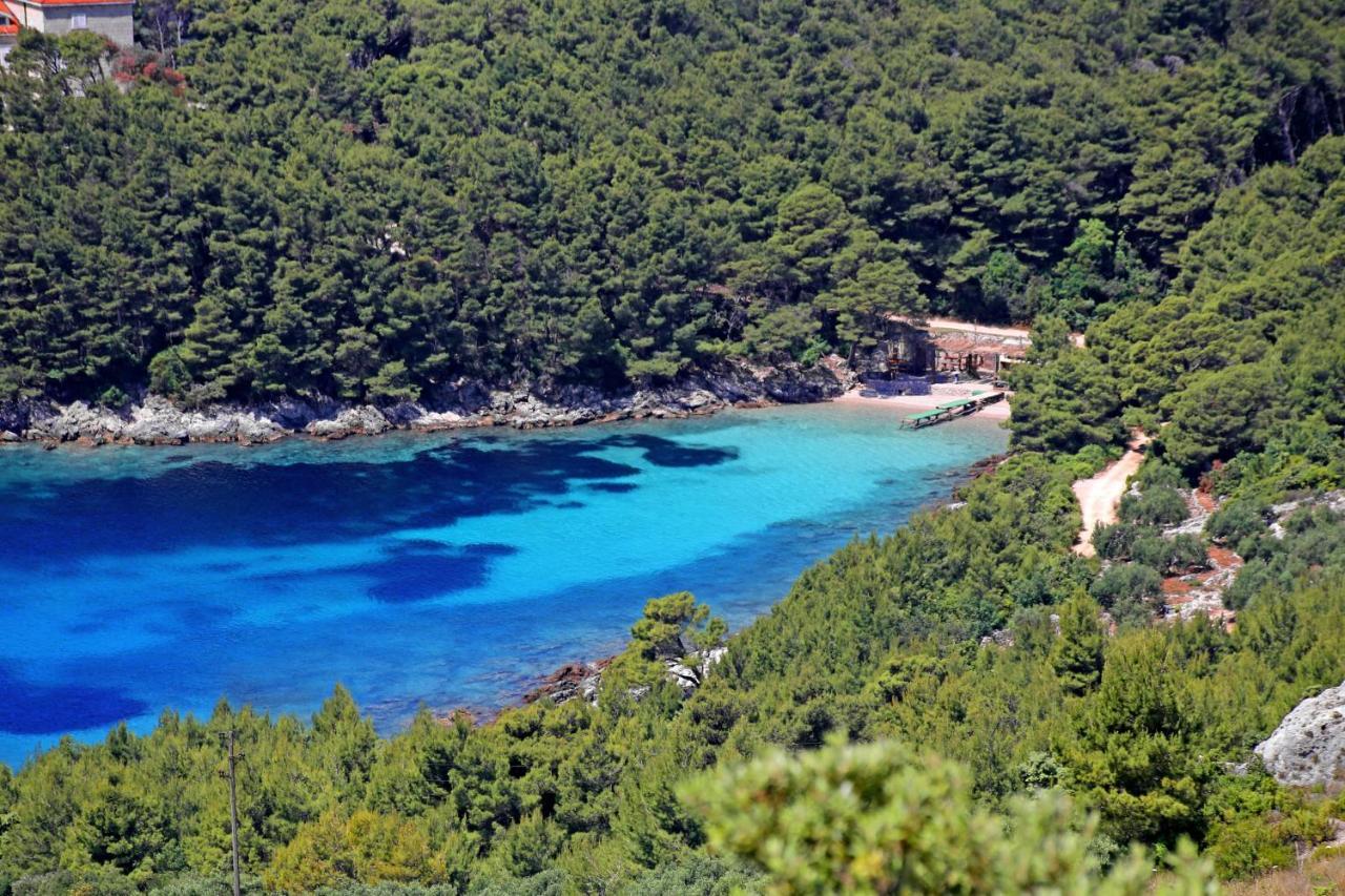 Apartments By The Sea Luka Dubrava, Peljesac - 14040 Putnikovic Exterior photo